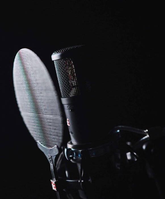 SE Electronics 2300 microphone for vocal recording in music studio. | © Plug The Jack